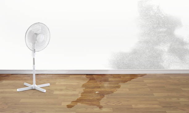 Best Carpet water damage restoration  in Hawthorne, NY