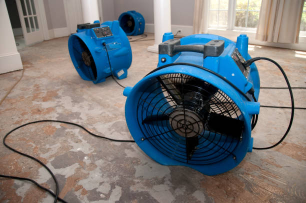 Best Flooded house restoration  in Hawthorne, NY
