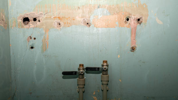 Best Professional water damage repair  in Hawthorne, NY